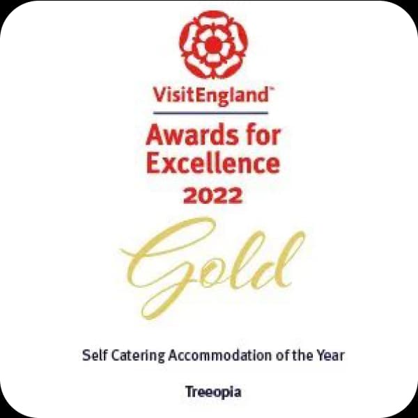 Visit England Gold Award for Excellence 2022