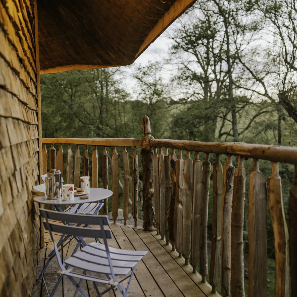 Eathelin's wrap around balcony and view of the treetops