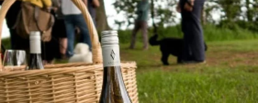 Astley Vineyard Tours & Tastings