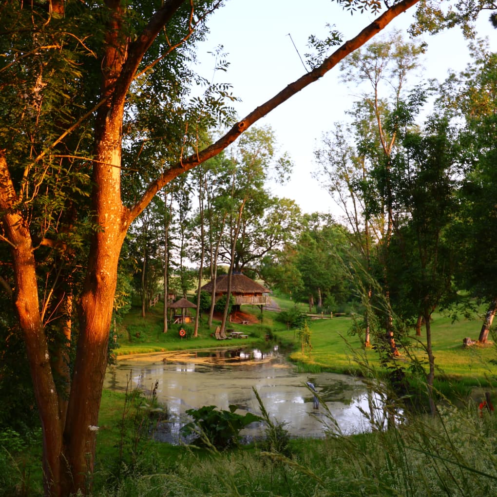 Vivianna and hot tub area view from across the lake