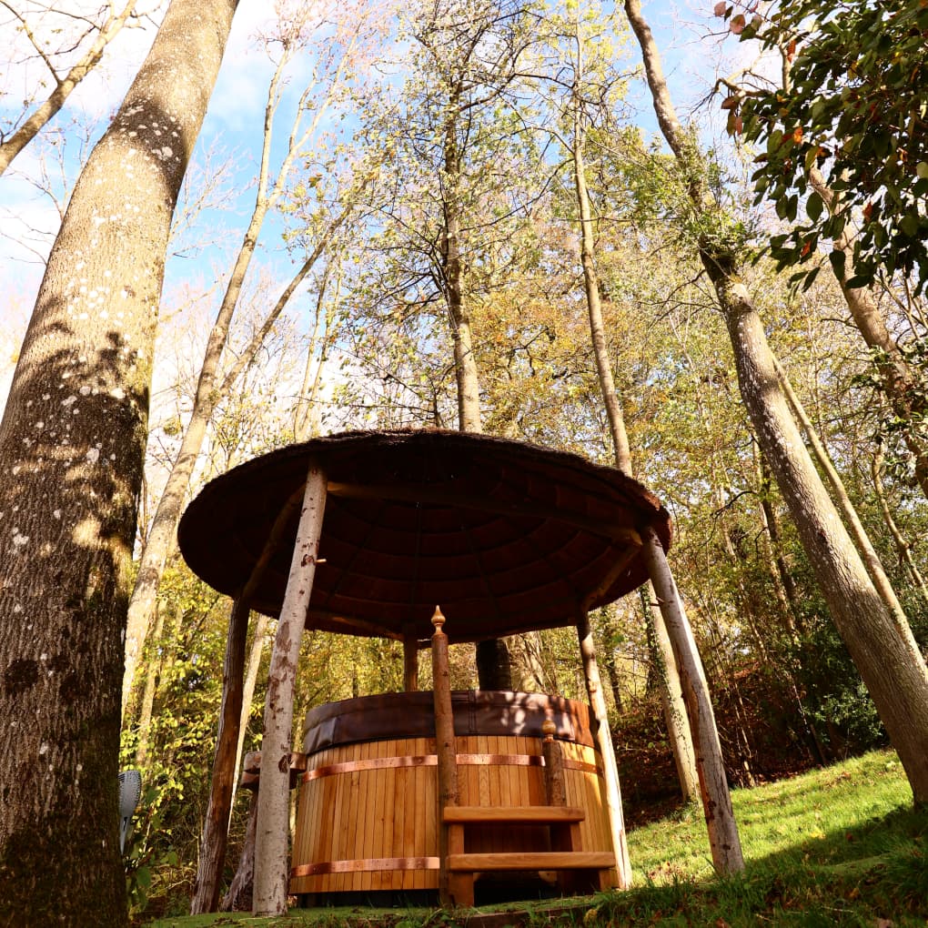 Private hot tub view with surrounding treetops