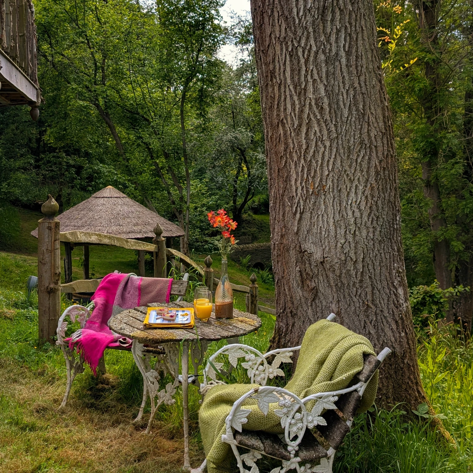 Eathelin-At-Treeopia