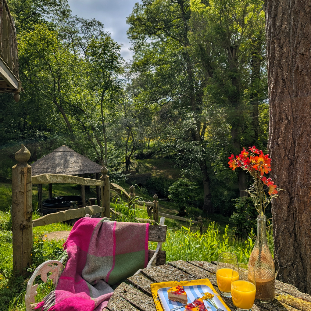 Eathelin's wrap around balcony and view of the treetops