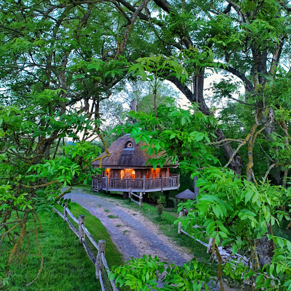 Woodland walkway around Eathelin